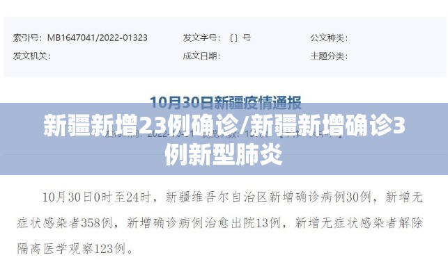 新疆新增23例确诊/新疆新增确诊3例新型肺炎