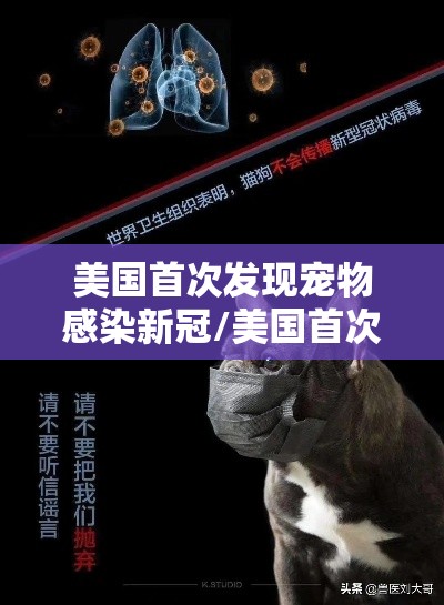 美国首次发现宠物感染新冠/美国首次发现宠物感染新冠是哪一年