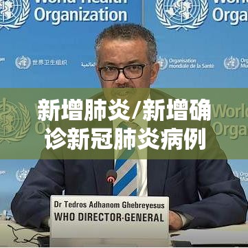 新增肺炎/新增确诊新冠肺炎病例