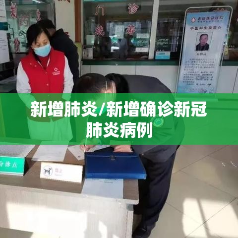 新增肺炎/新增确诊新冠肺炎病例