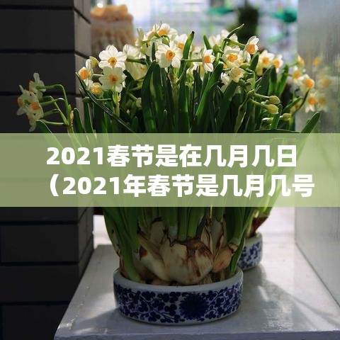 2021春节是在几月几日（2021年春节是几月几号开始）