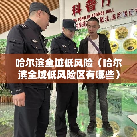 哈尔滨全域低风险（哈尔滨全域低风险区有哪些）