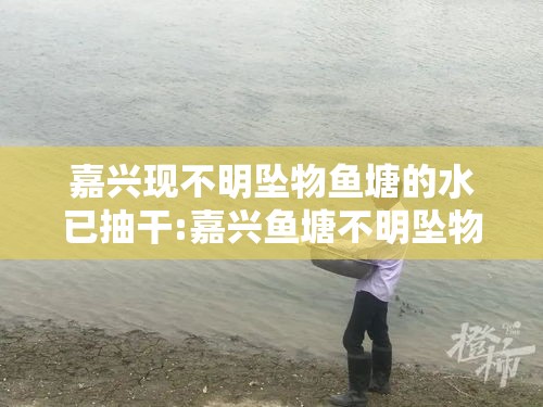嘉兴现不明坠物鱼塘的水已抽干:嘉兴鱼塘不明坠物找到了吗