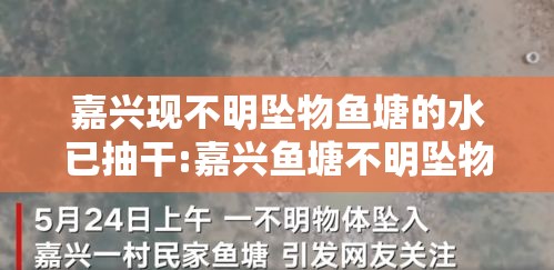 嘉兴现不明坠物鱼塘的水已抽干:嘉兴鱼塘不明坠物找到了吗