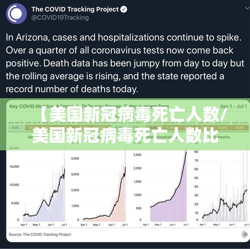 【美国新冠病毒死亡人数/美国新冠病毒死亡人数比例】
