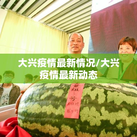 大兴疫情最新情况/大兴疫情最新动态