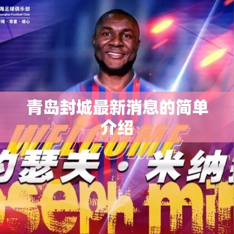 青岛封城最新消息的简单介绍