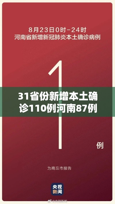 31省份新增本土确诊110例河南87例/31省新增确诊24例河南