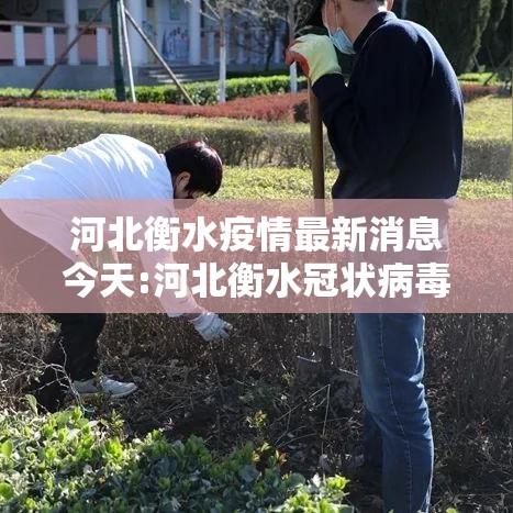 河北衡水疫情最新消息今天:河北衡水冠状病毒肺炎最新消息