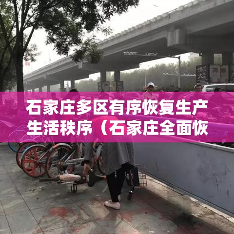 石家庄多区有序恢复生产生活秩序（石家庄全面恢复）