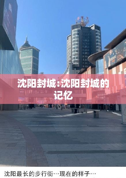 沈阳封城:沈阳封城的记忆