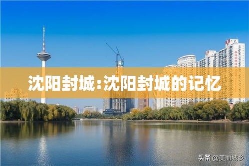 沈阳封城:沈阳封城的记忆