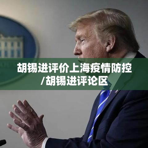 胡锡进评价上海疫情防控/胡锡进评论区 胡锡进评价上海疫情防控/胡锡进评论区