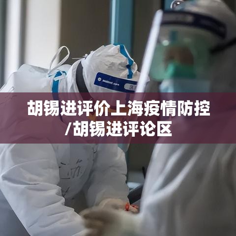 胡锡进评价上海疫情防控/胡锡进评论区 胡锡进评价上海疫情防控/胡锡进评论区