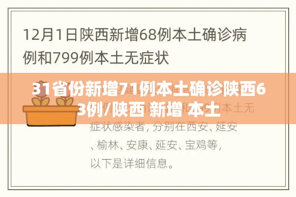 31省份新增71例本土确诊陕西63例/陕西 新增 本土