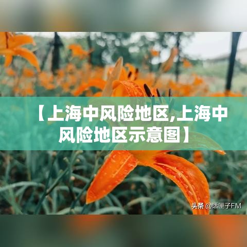 【上海中风险地区,上海中风险地区示意图】