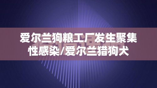 爱尔兰狗粮工厂发生聚集性感染/爱尔兰猎狗犬