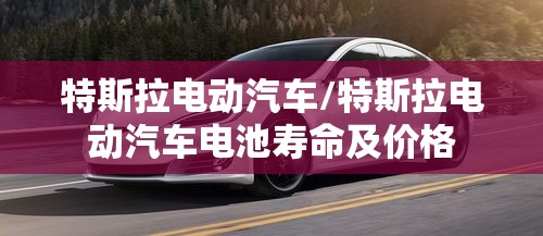 特斯拉电动汽车/特斯拉电动汽车电池寿命及价格