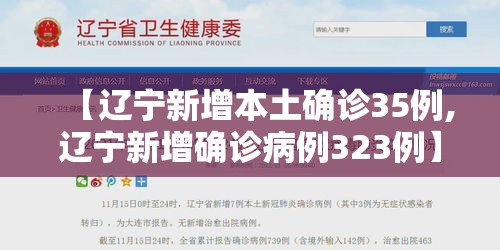 【辽宁新增本土确诊35例,辽宁新增确诊病例323例】