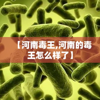 【河南毒王,河南的毒王怎么样了】