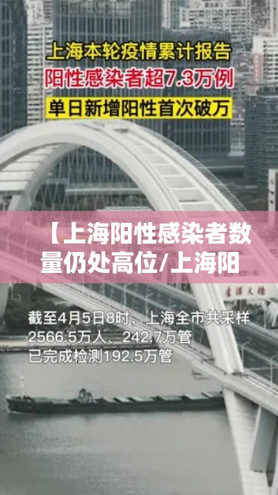 【上海阳性感染者数量仍处高位/上海阳性患者】