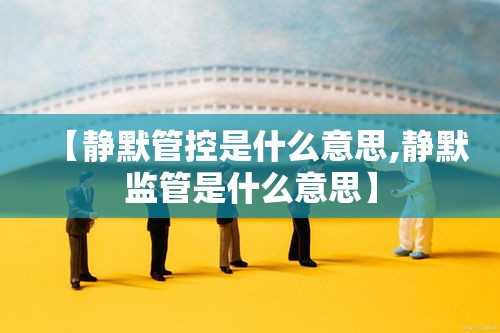 【静默管控是什么意思,静默监管是什么意思】