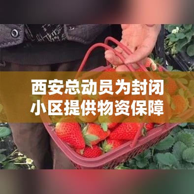 西安总动员为封闭小区提供物资保障/西安总动员为封闭小区提供物资保障吗