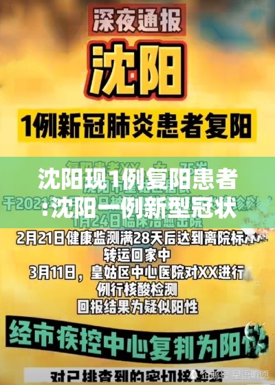 沈阳现1例复阳患者:沈阳一例新型冠状病毒复阳