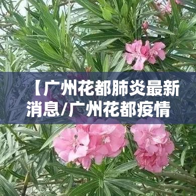 【广州花都肺炎最新消息/广州花都疫情最新公布】