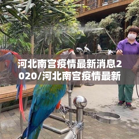 河北南宫疫情最新消息2020/河北南宫疫情最新消息2020年