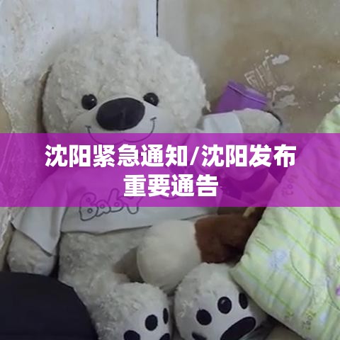 沈阳紧急通知/沈阳发布重要通告