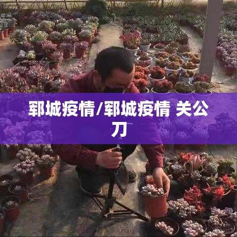 郓城疫情/郓城疫情 关公刀