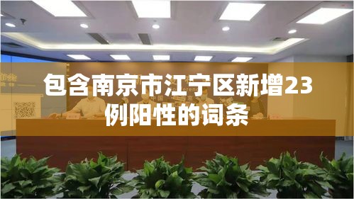 包含南京市江宁区新增23例阳性的词条