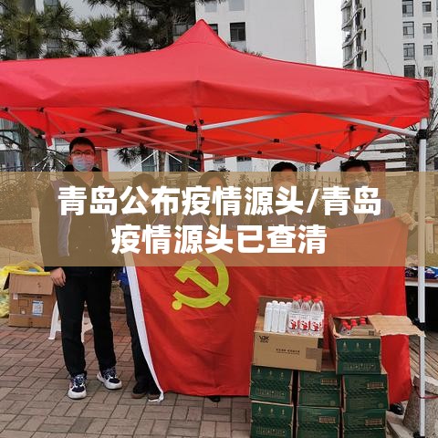 青岛公布疫情源头/青岛疫情源头已查清