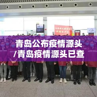 青岛公布疫情源头/青岛疫情源头已查清
