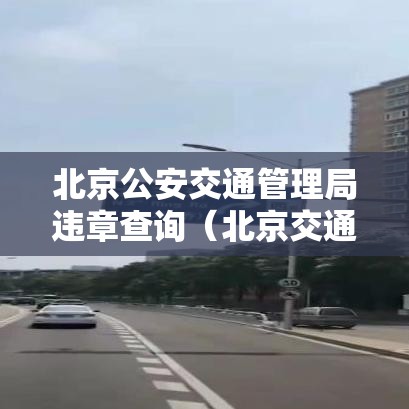 北京公安交通管理局违章查询（北京交通公安违章查询官网）