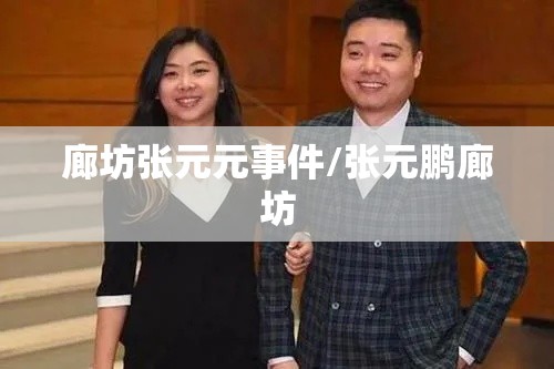 廊坊张元元事件/张元鹏廊坊 廊坊张元元事件/张元鹏廊坊