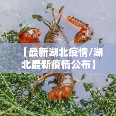 【最新湖北疫情/湖北最新疫情公布】