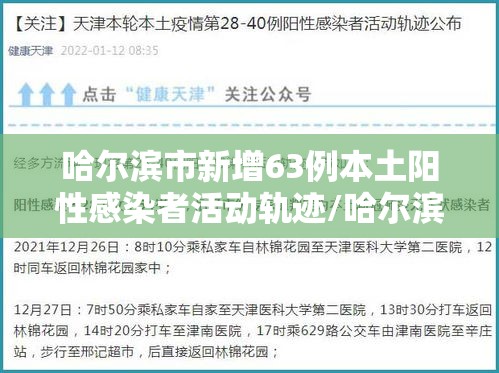 哈尔滨市新增63例本土阳性感染者活动轨迹/哈尔滨新增本土确诊6例活动轨迹