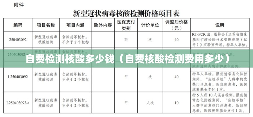 自费检测核酸多少钱（自费核酸检测费用多少）
