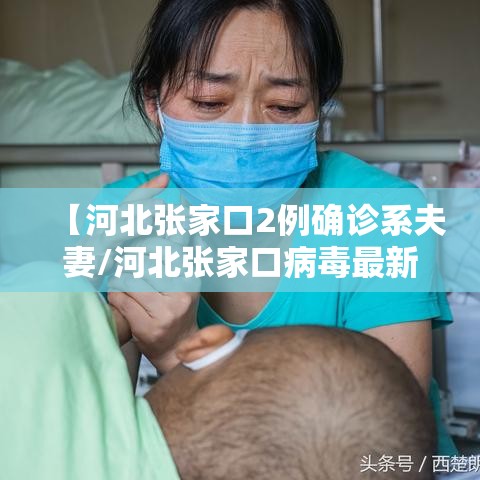 【河北张家口2例确诊系夫妻/河北张家口病毒最新消息】