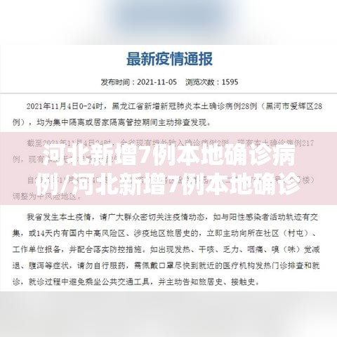 河北新增7例本地确诊病例/河北新增7例本地确诊病例详情