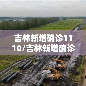 吉林新增确诊1110/吉林新增确诊病例14例