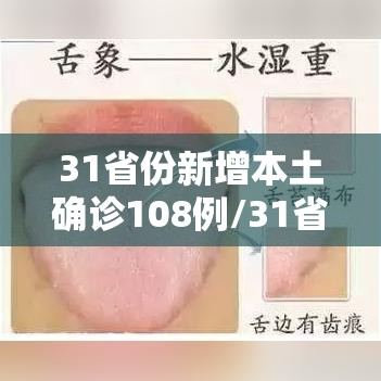 31省份新增本土确诊108例/31省份新增本土确诊108例疫情
