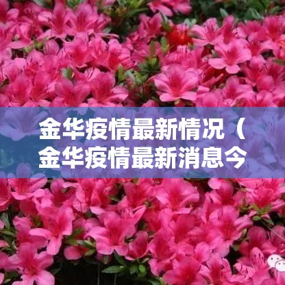 金华疫情最新情况（金华疫情最新消息今天新增病例）