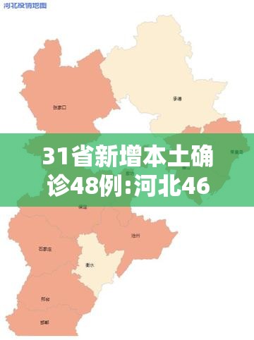 31省新增本土确诊48例:河北46例/31省份新增本土确诊85例 其中河北82例