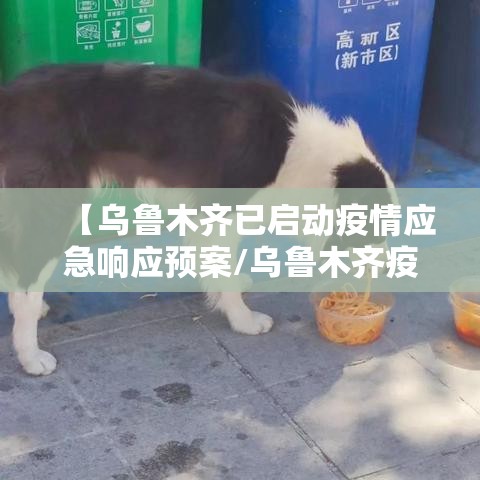【乌鲁木齐已启动疫情应急响应预案/乌鲁木齐疫情政府通知】