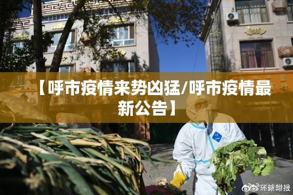 【呼市疫情来势凶猛/呼市疫情最新公告】