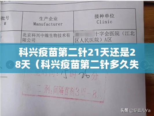 科兴疫苗第二针21天还是28天（科兴疫苗第二针多久失效）