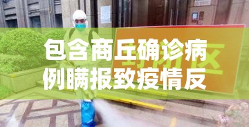 包含商丘确诊病例瞒报致疫情反弹的词条